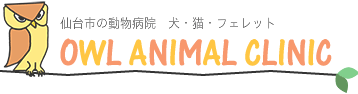 宮城県仙台市の「アウル動物病院」