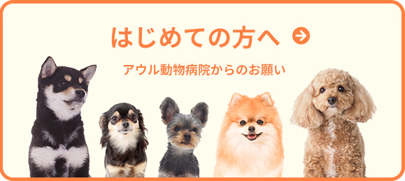 はじめての方へ