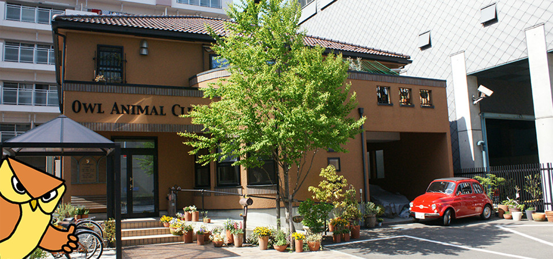 アウル動物病院